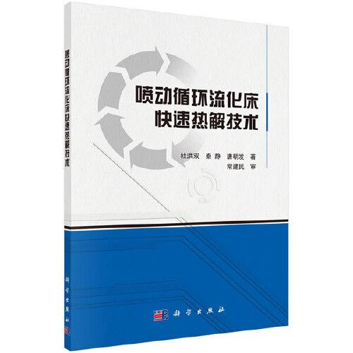 噴動(dòng)循環(huán)流化床快速熱解技術(shù)