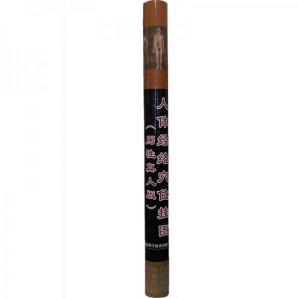 人體經(jīng)絡(luò)穴位掛圖