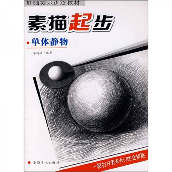 基礎(chǔ)美術(shù)訓(xùn)練教材：素描起步（單體靜物）