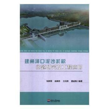 建閘河口泥沙淤積問題研究及工程應(yīng)用