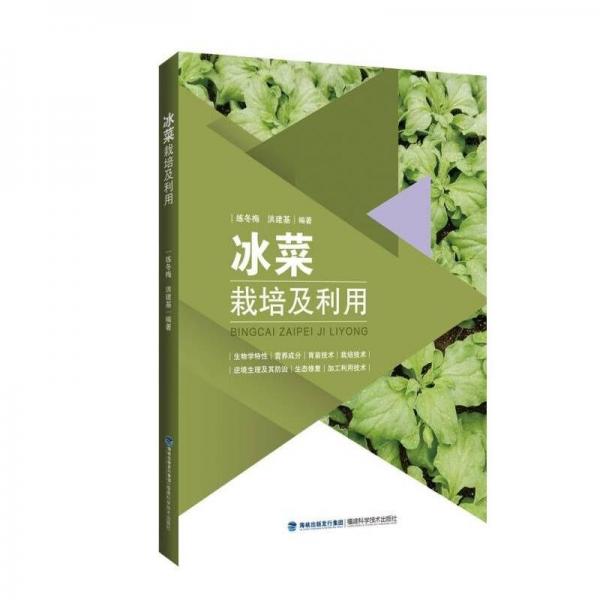 冰菜栽培及利用