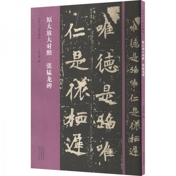 張猛龍碑(原大放大對(duì)照)/書(shū)法入門(mén)必學(xué)碑帖