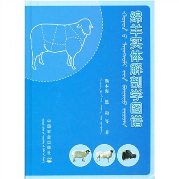 綿羊實體解剖學圖譜