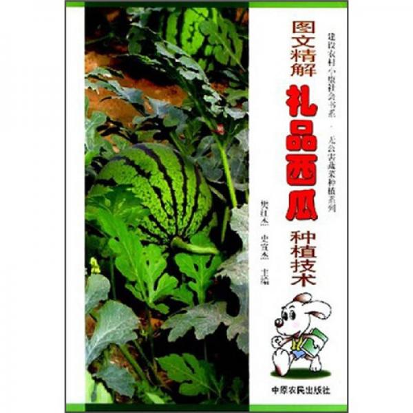 圖文精解禮品西瓜種植技術(shù)