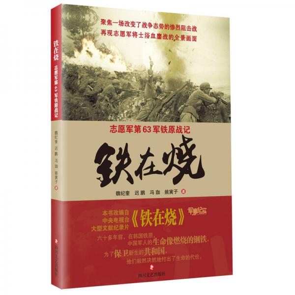 鐵在燒 : 志愿軍第63軍鐵原戰(zhàn)記
