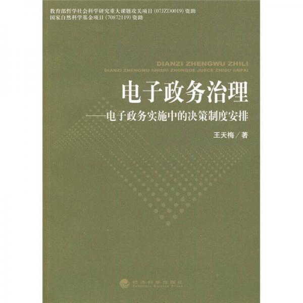 電子政務治理：電子政務實施中的決策制度安排
