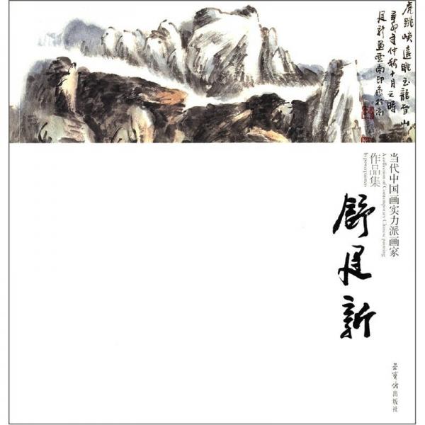 當(dāng)代中國畫實力派畫家作品集：舒建新