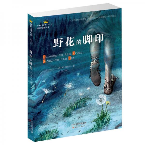 國際大獎小說·成長版——野花的腳印