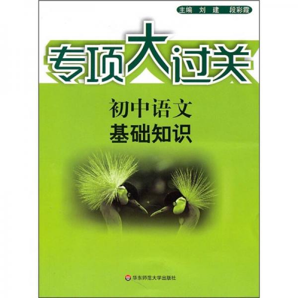 專項大過關·初中語文：基礎知識