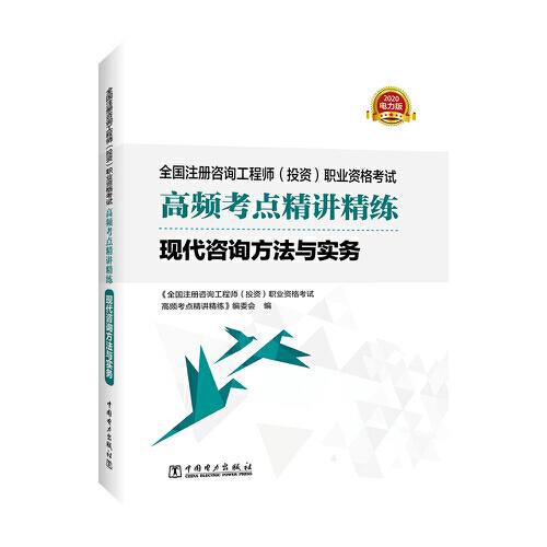 全國注冊咨詢工程師（投資）職業(yè)資格考試高頻考點精講精練 現(xiàn)代咨詢方法與實務