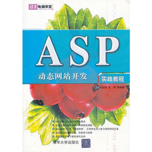 VIP-ASP 动态网站开发实践教程（清华电脑学堂）