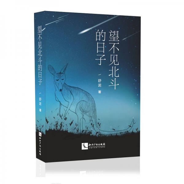 望不見北斗的日子