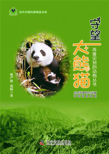 守望大熊貓