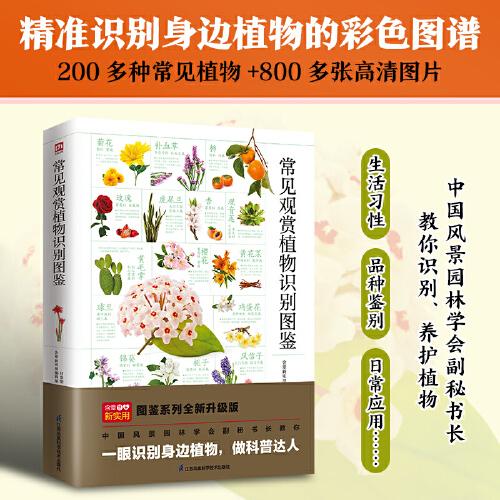 中小學(xué)教師資格考試政策研究