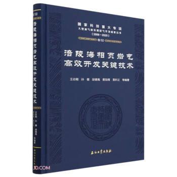 涪陵海相頁巖氣高效開發(fā)關(guān)鍵技術(shù)(2008-2020)(精)/國家科技重大專項大型油氣田及煤層氣開發(fā)成果叢書