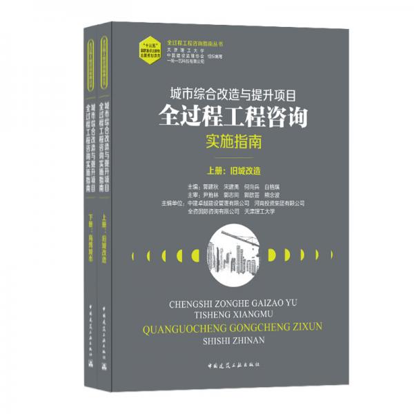 城市综合改造与提升项目全过程工程咨询实施指南（上、下册）