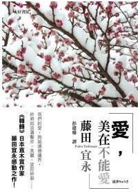 愛，美在不能愛