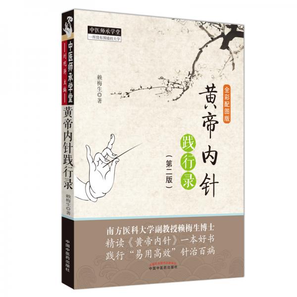 黃帝內(nèi)針踐行錄（第2版）