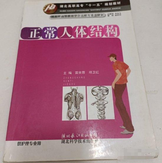 正常人體結(jié)構(gòu)