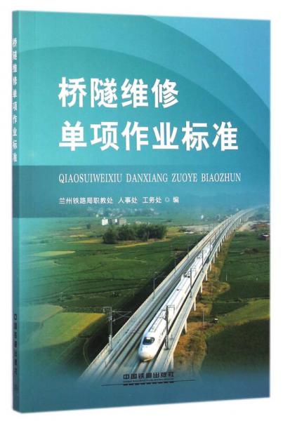 橋隧維修單項作業(yè)標(biāo)準(zhǔn)