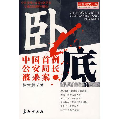 臥底--中國首例公安局長被殺案