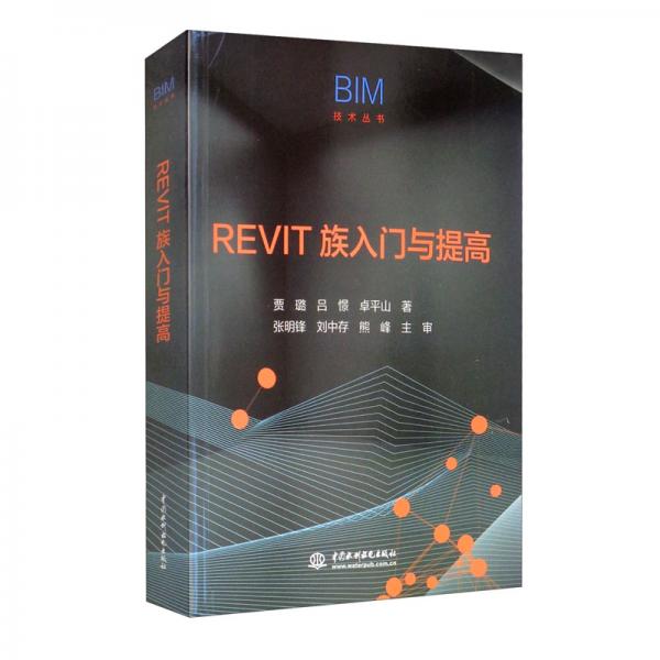 REVIT族入门与提高/BIM技术丛书