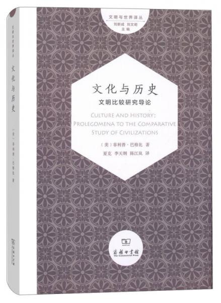 文化與歷史：文明比較研究導(dǎo)論/文明與世界譯叢