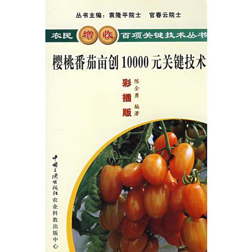 櫻桃番茄畝創(chuàng)10000元關(guān)鍵技術(shù)