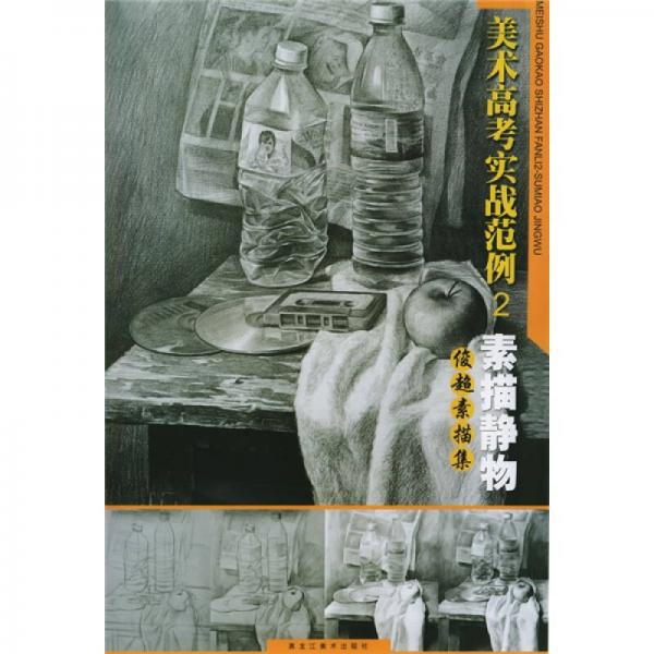 美術(shù)高考實(shí)戰(zhàn)范例2：素描靜物俊超素描集