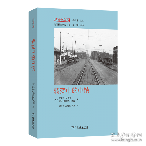 轉(zhuǎn)變中的中鎮(zhèn)(經(jīng)驗(yàn)與觀念叢書)