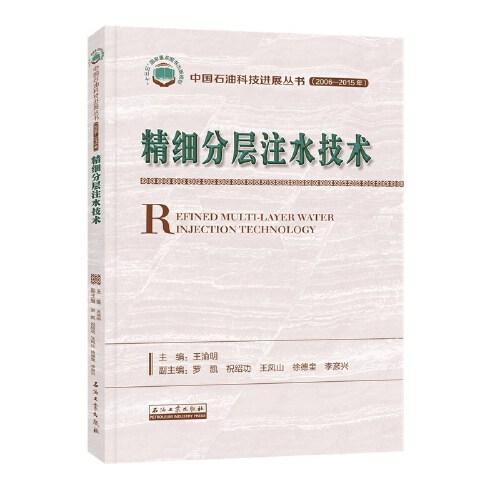 精細(xì)分層注水技術(shù)