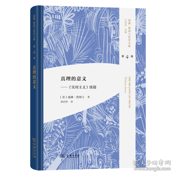 真理的意義
