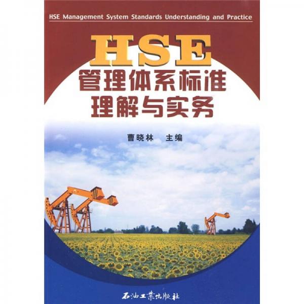 HSE管理体系标准理解与实务