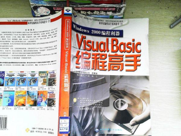 Windows 2000编程利器——Visual Basic 编程高手(含盘)