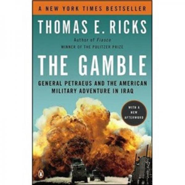 The Gamble: General Petraeus and the American Military Adventure in Iraq