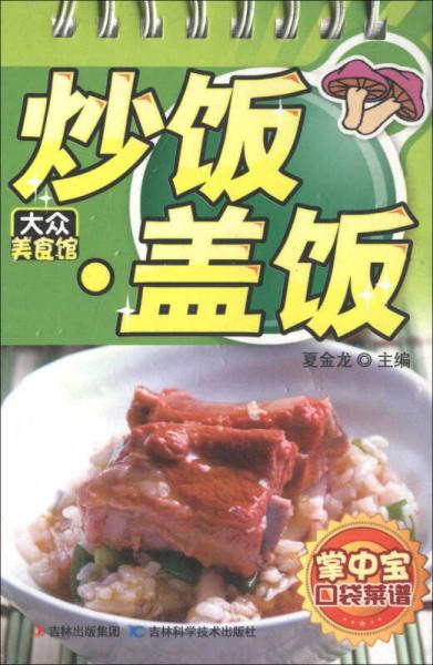 掌中宝口袋菜谱·大众美食馆：炒饭·盖饭