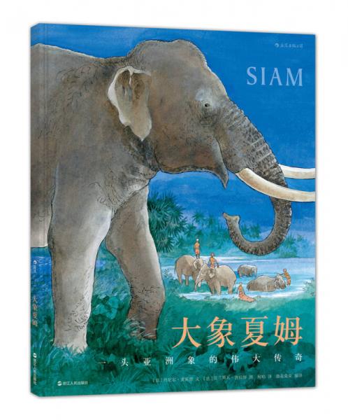 大象夏姆 Siam