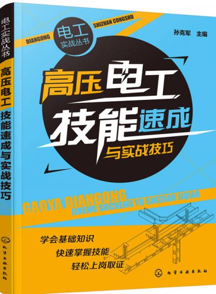 电工实战丛书--高压电工技能速成与实战技巧