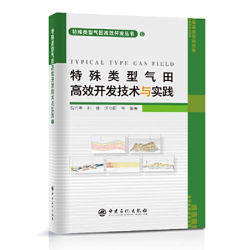 特殊类型气田高效开发技术与实践