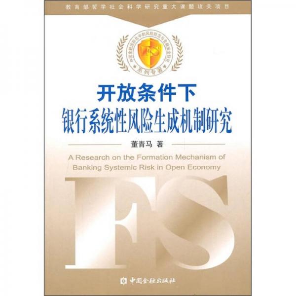 開放條件下銀行系統(tǒng)性風(fēng)險(xiǎn)生成機(jī)制研究