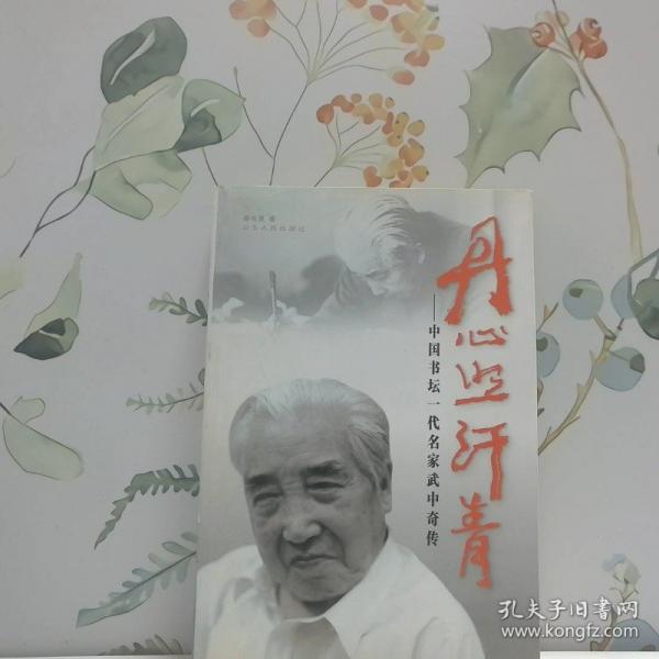 丹心照汗青:中国书坛一代名家武中奇传