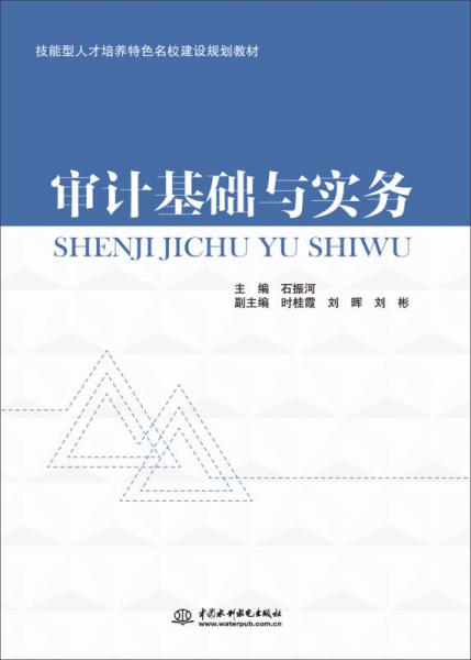 審計(jì)基礎(chǔ)與實(shí)務(wù)/技能型人才培養(yǎng)特色名校建設(shè)規(guī)劃教材