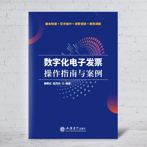 數(shù)字化電子發(fā)票操作指南與案例