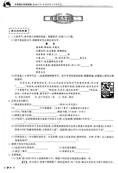 中考语文专项训练