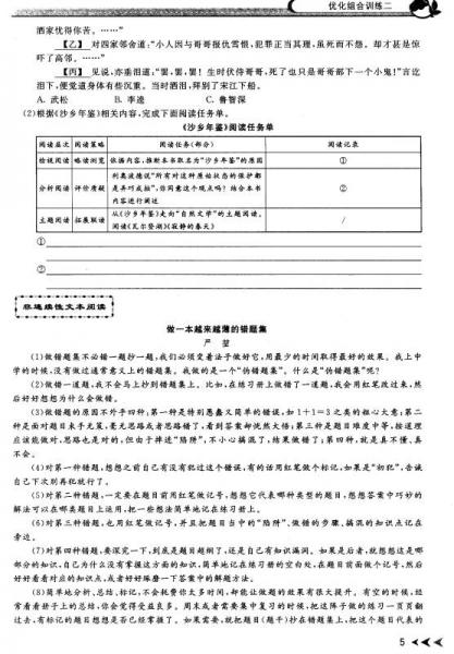 中考语文专项训练