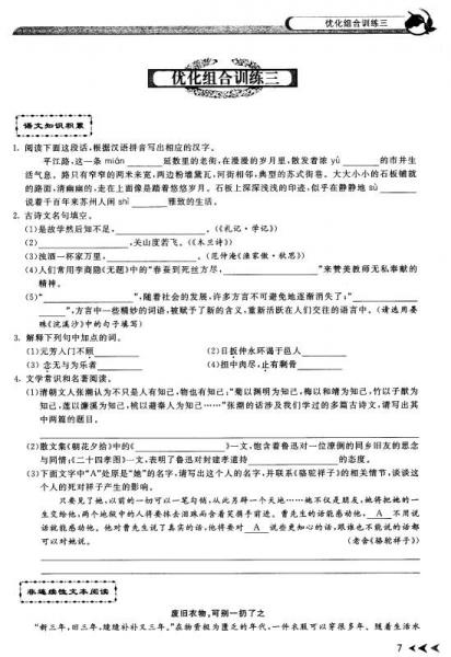 中考语文专项训练