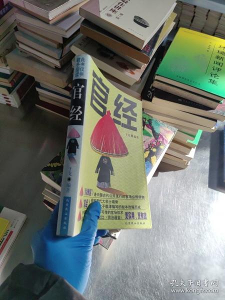 湘西陽戲藝術概觀