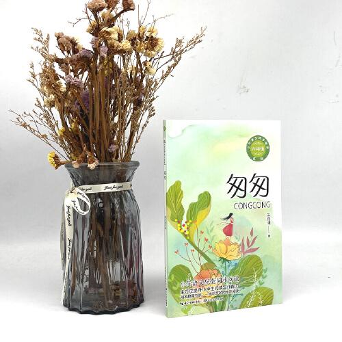 匆匆：课文作家作品，小学语文教材同步配套读物