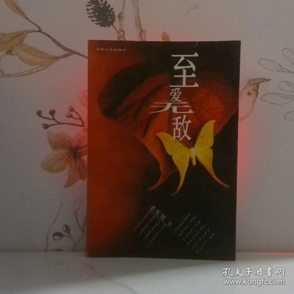 至愛無敵