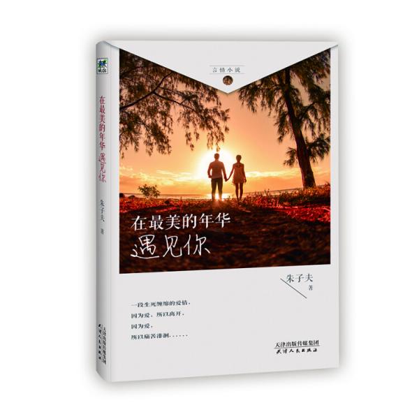 在最美的年華遇見你